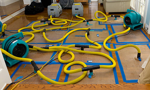 Professional Sewage Cleanup technician working in Luebbering, MO